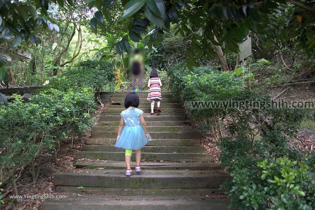 YTS_YTS_20180630_基隆暖暖暖東苗圃／暖暖運動公園Keelung Nuannuan Nuan Dong Plant Nursery／Sports Park026_3A5A7260.jpg