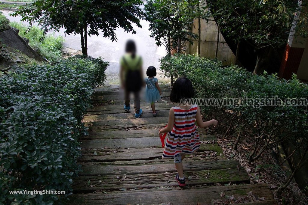 YTS_YTS_20180630_基隆暖暖暖東苗圃／暖暖運動公園Keelung Nuannuan Nuan Dong Plant Nursery／Sports Park030_3A5A7306.jpg