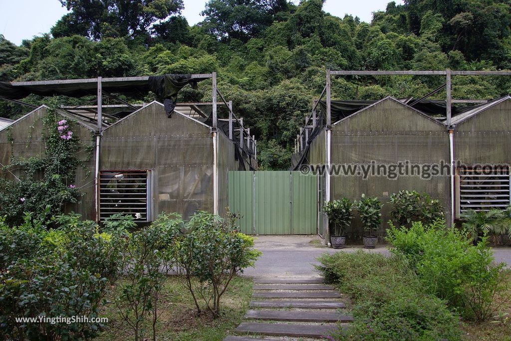 YTS_YTS_20180630_基隆暖暖暖東苗圃／暖暖運動公園Keelung Nuannuan Nuan Dong Plant Nursery／Sports Park033_3A5A6644.jpg