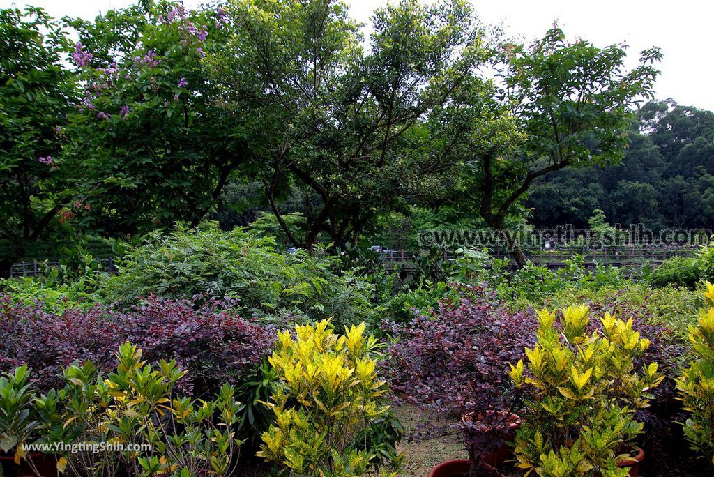 YTS_YTS_20180630_基隆暖暖暖東苗圃／暖暖運動公園Keelung Nuannuan Nuan Dong Plant Nursery／Sports Park037_3A5A6993.jpg