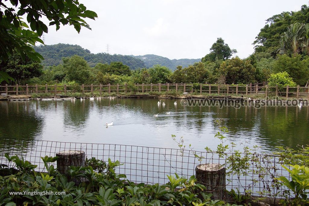 YTS_YTS_20180630_基隆暖暖暖東苗圃／暖暖運動公園Keelung Nuannuan Nuan Dong Plant Nursery／Sports Park039_3A5A6479.jpg