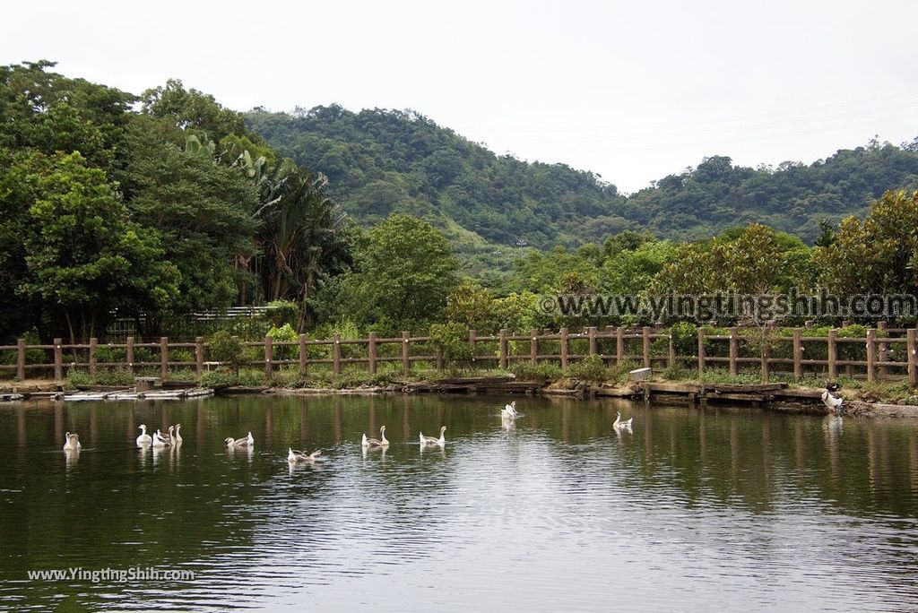 YTS_YTS_20180630_基隆暖暖暖東苗圃／暖暖運動公園Keelung Nuannuan Nuan Dong Plant Nursery／Sports Park040_3A5A6547.jpg