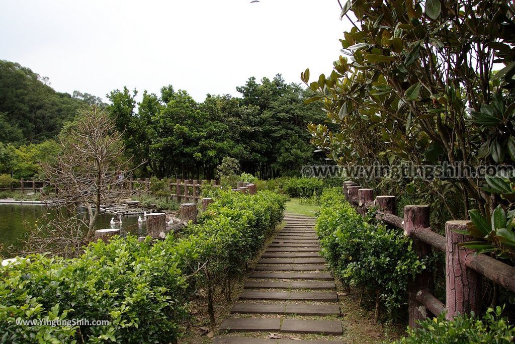 YTS_YTS_20180630_基隆暖暖暖東苗圃／暖暖運動公園Keelung Nuannuan Nuan Dong Plant Nursery／Sports Park048_3A5A6676.jpg