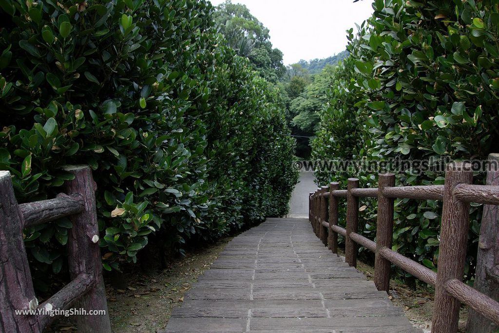 YTS_YTS_20180630_基隆暖暖暖東苗圃／暖暖運動公園Keelung Nuannuan Nuan Dong Plant Nursery／Sports Park053_3A5A6672.jpg