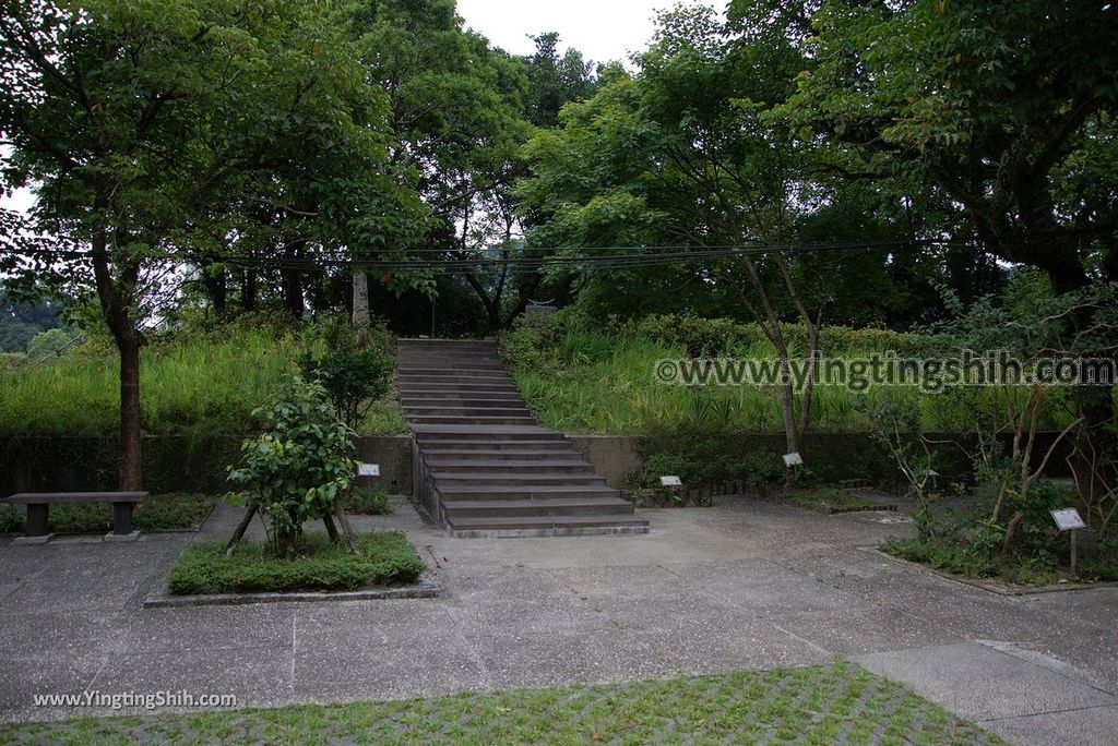 YTS_YTS_20180630_基隆暖暖暖東苗圃／暖暖運動公園Keelung Nuannuan Nuan Dong Plant Nursery／Sports Park072_3A5A7524.jpg