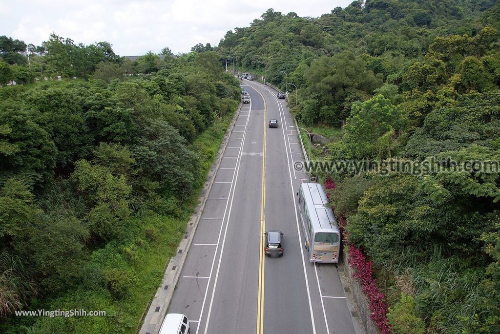 YTS_YTS_20180630_基隆暖暖暖東苗圃／暖暖運動公園Keelung Nuannuan Nuan Dong Plant Nursery／Sports Park088_3A5A7847.jpg