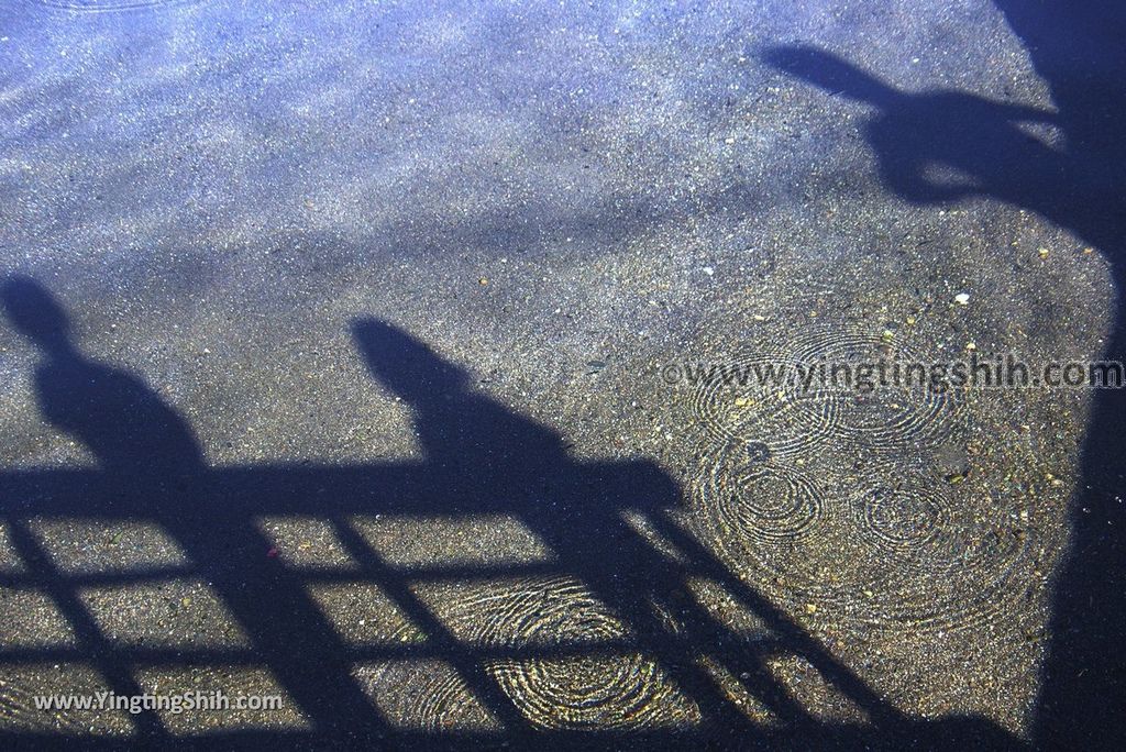 YTS_YTS_20181111_宜蘭員山螃蟹冒泡／自然湧泉／毛蟹冒泡Yilan Yuanshan Crab Bubble／Bubbling Spring013_3A5A3490.jpg