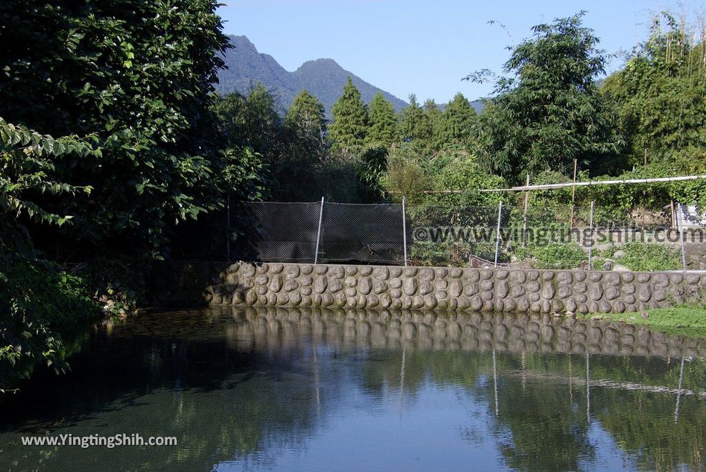 YTS_YTS_20181111_宜蘭員山螃蟹冒泡／自然湧泉／毛蟹冒泡Yilan Yuanshan Crab Bubble／Bubbling Spring028_3A5A3691.jpg