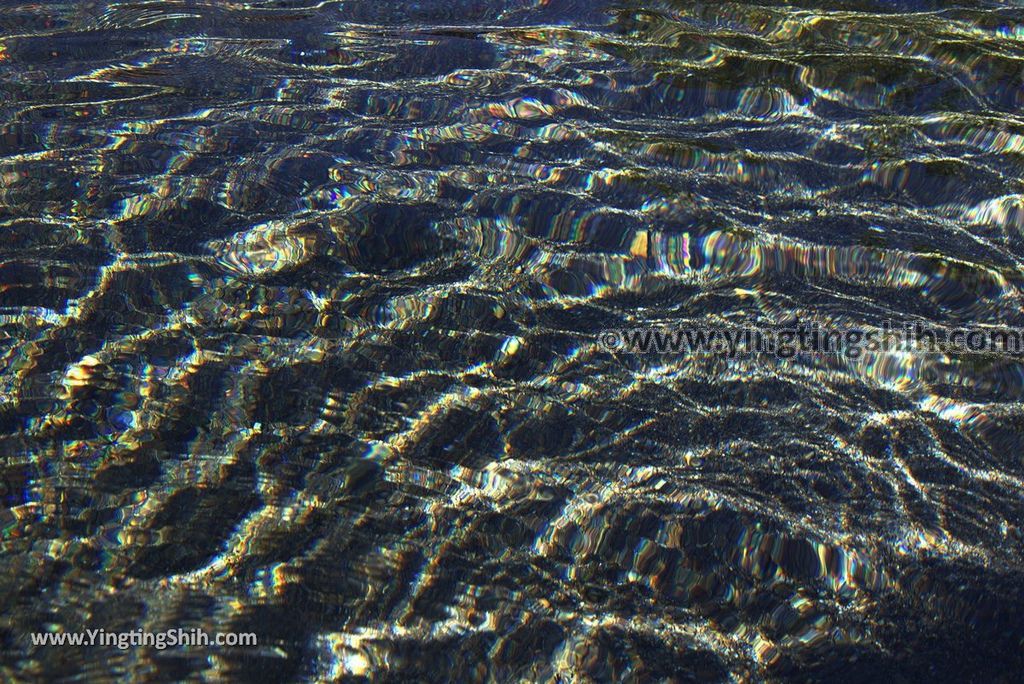 YTS_YTS_20181111_宜蘭員山螃蟹冒泡／自然湧泉／毛蟹冒泡Yilan Yuanshan Crab Bubble／Bubbling Spring041_3A5A3841.jpg