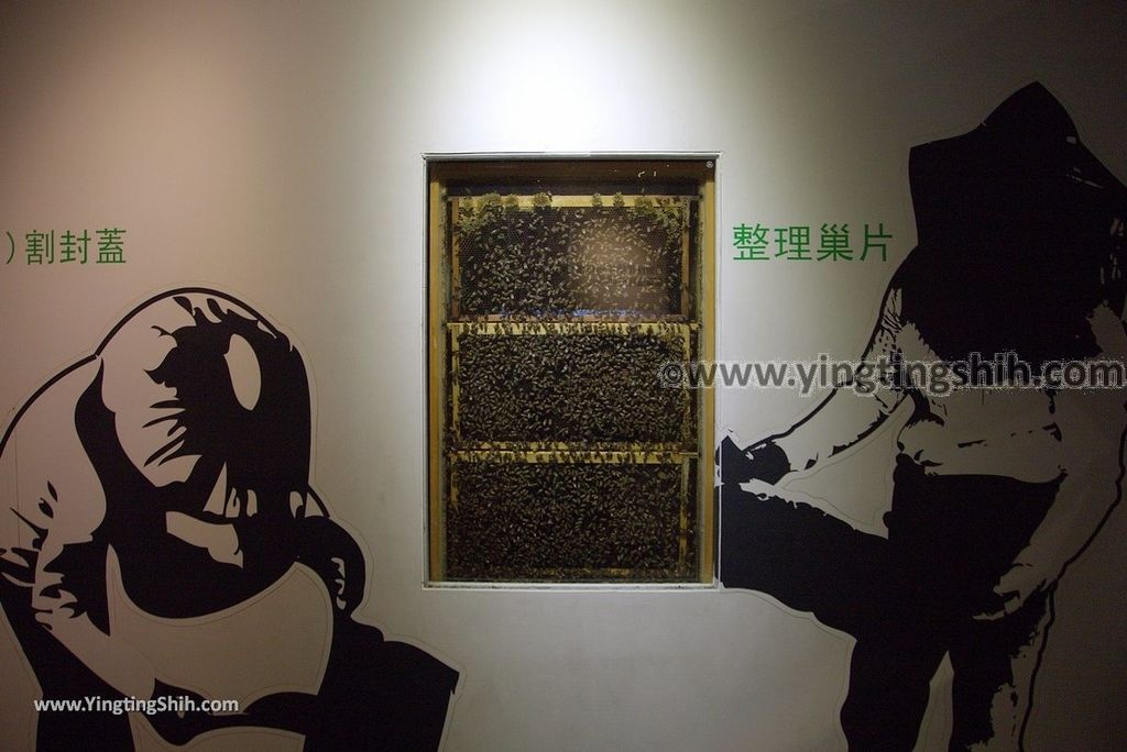 YTS_YTS_20181111_宜蘭員山蜂采館／觀光工廠Yilan Yuanshan Bee Museum066_3A5A0190.jpg