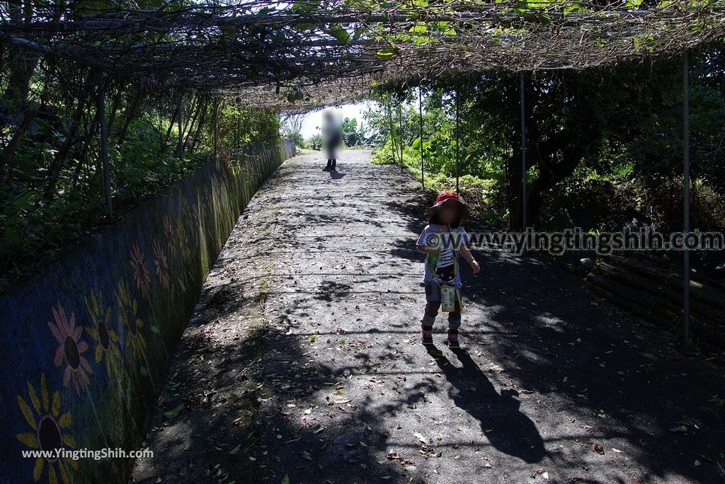 YTS_YTS_20181111_宜蘭員山太陽埤槍櫃／步道／太陽湖畔咖啡館Yilan Yuanshan Taiyang Hiking Trail067_3A5A8161.jpg