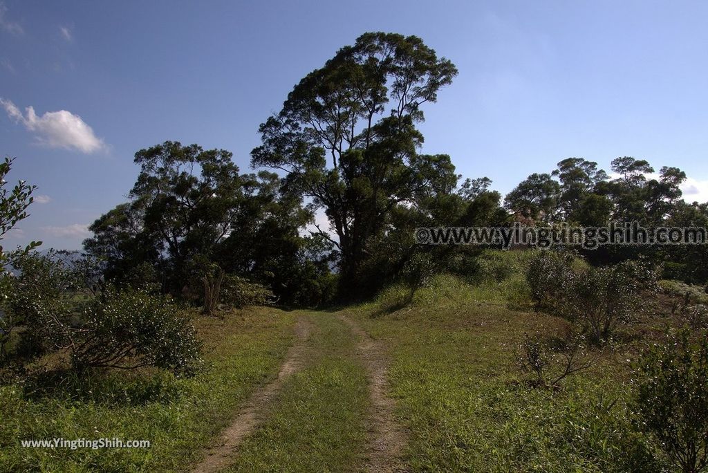 YTS_YTS_20181111_宜蘭員山太陽埤槍櫃／步道／太陽湖畔咖啡館Yilan Yuanshan Taiyang Hiking Trail117_3A5A9245.jpg