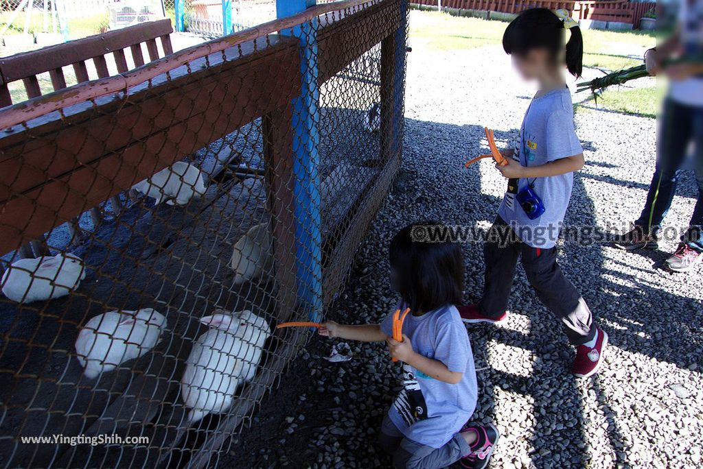 YTS_YTS_20181111_宜蘭員山可達休閒羊場／觀光工廠Yilan Yuanshan Keda Leisure Sheep Farm037_3A5A5129.jpg