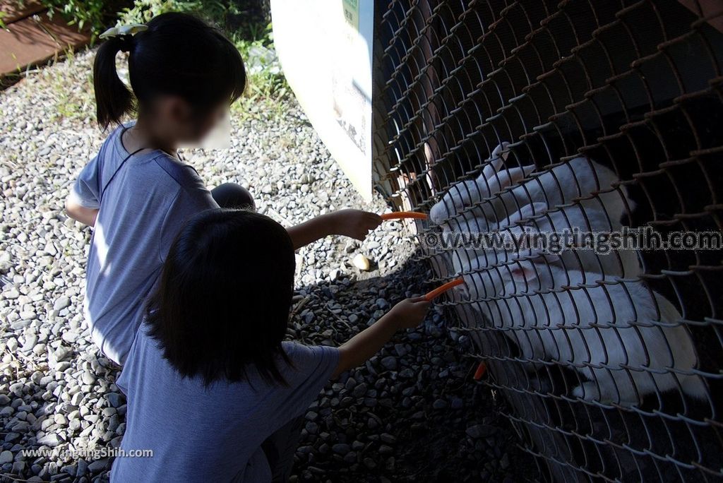 YTS_YTS_20181111_宜蘭員山可達休閒羊場／觀光工廠Yilan Yuanshan Keda Leisure Sheep Farm039_3A5A5166.jpg