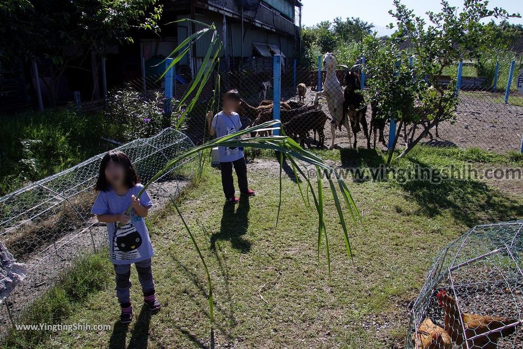 YTS_YTS_20181111_宜蘭員山可達休閒羊場／觀光工廠Yilan Yuanshan Keda Leisure Sheep Farm054_3A5A5297.jpg