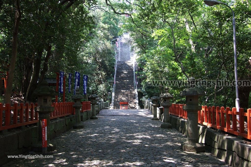 YTS_YTS_20180719_Japan Kansai Wakayama Kishu Toshogu Shrine日本關西（近畿）和歌山紀州東照宮016_3A5A3067.jpg