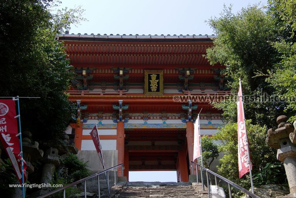 YTS_YTS_20180719_Japan Kansai Wakayama Kishu Toshogu Shrine日本關西（近畿）和歌山紀州東照宮026_3A5A3165.jpg