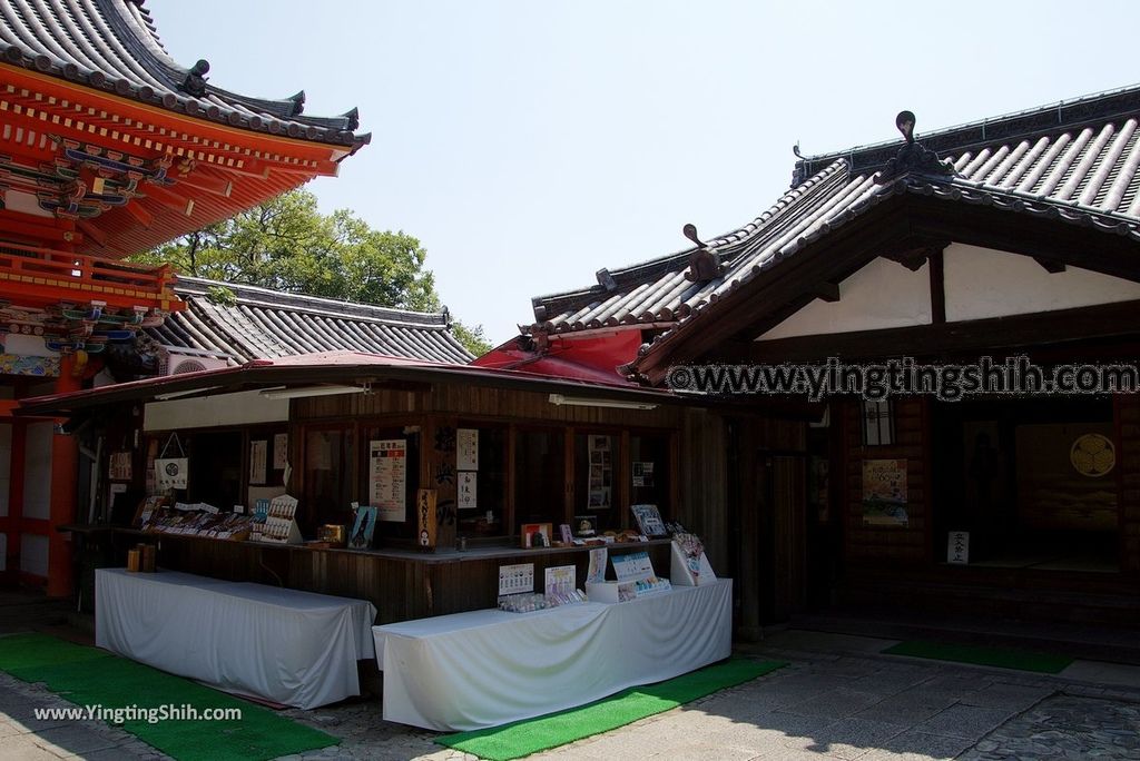 YTS_YTS_20180719_Japan Kansai Wakayama Kishu Toshogu Shrine日本關西（近畿）和歌山紀州東照宮062_3A5A3339.jpg