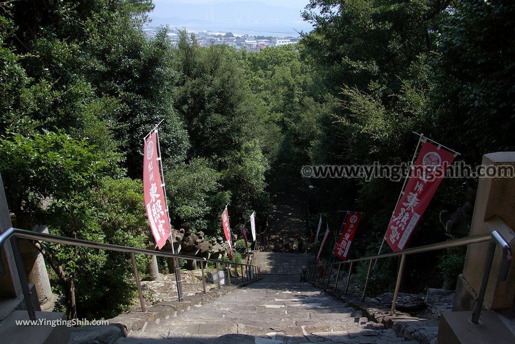 YTS_YTS_20180719_Japan Kansai Wakayama Kishu Toshogu Shrine日本關西（近畿）和歌山紀州東照宮069_3A5A3184.jpg