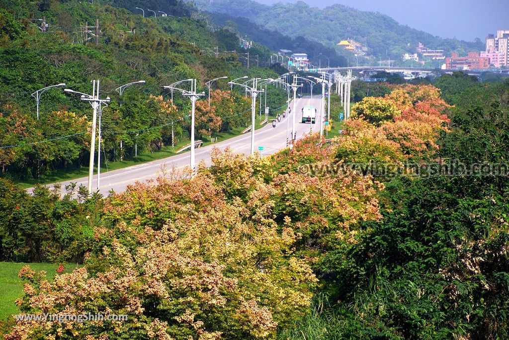 YTS_YTS_20171109_新北鶯歌河濱自行車道／極限運動園區／鹿角溪／新月橋New Taipei Yingge Riverside Cycling Path036_3A5A3482.jpg