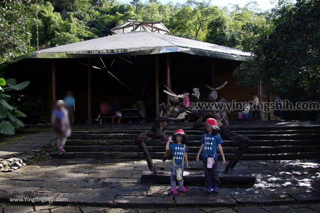 YTS_YTS_20181118_宜蘭冬山仁山植物園／仁山步道Yilan Dongshan Ren Shan Botanical Garden／Hiking Trail030_3A5A2733.jpg