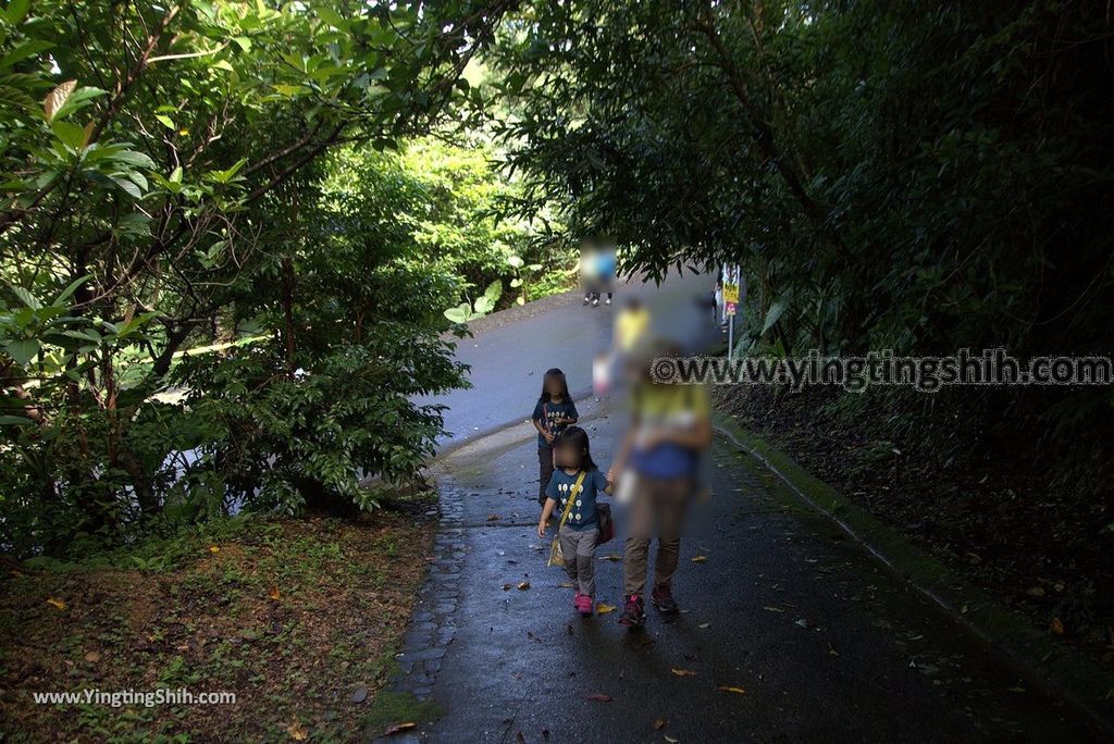 YTS_YTS_20181118_宜蘭冬山仁山植物園／仁山步道Yilan Dongshan Ren Shan Botanical Garden／Hiking Trail060_3A5A3308.jpg