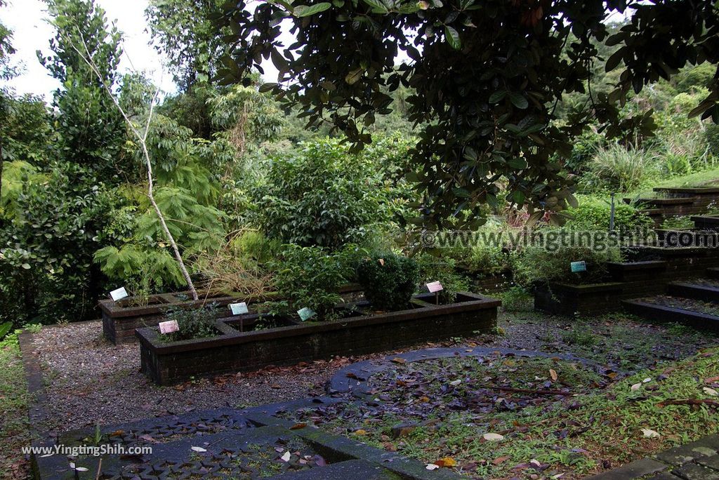 YTS_YTS_20181118_宜蘭冬山仁山植物園／仁山步道Yilan Dongshan Ren Shan Botanical Garden／Hiking Trail057_3A5A3060.jpg