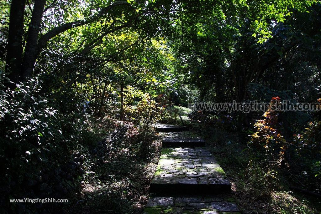 YTS_YTS_20181118_宜蘭冬山仁山植物園／仁山步道Yilan Dongshan Ren Shan Botanical Garden／Hiking Trail071_3A5A3503.jpg