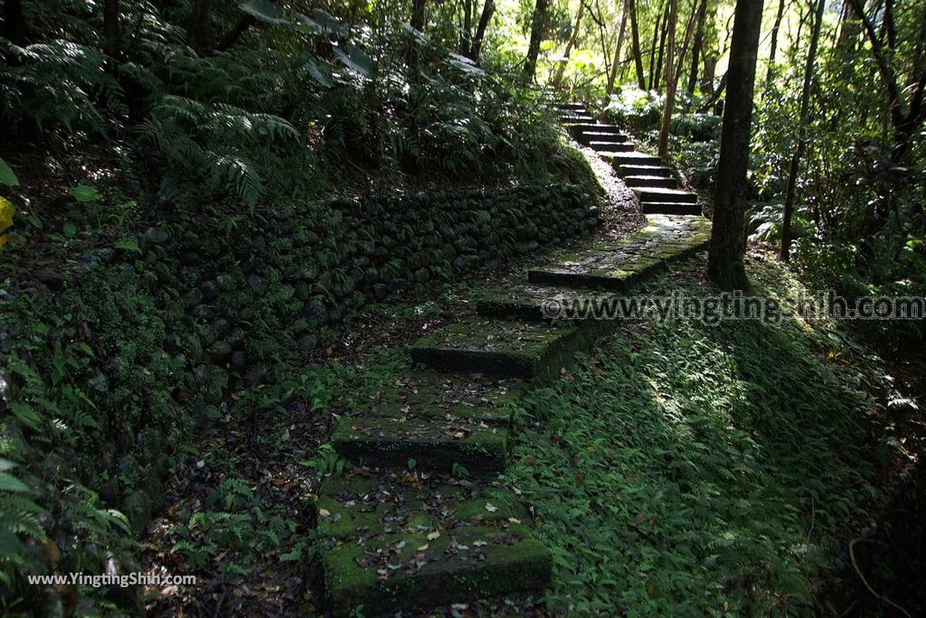 YTS_YTS_20181118_宜蘭冬山仁山植物園／仁山步道Yilan Dongshan Ren Shan Botanical Garden／Hiking Trail070_3A5A3482.jpg