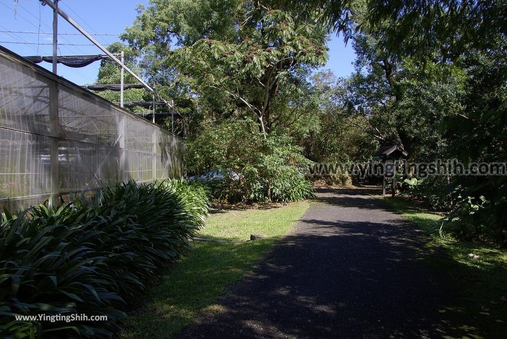 YTS_YTS_20181118_宜蘭冬山仁山植物園／仁山步道Yilan Dongshan Ren Shan Botanical Garden／Hiking Trail131_3A5A4579.jpg