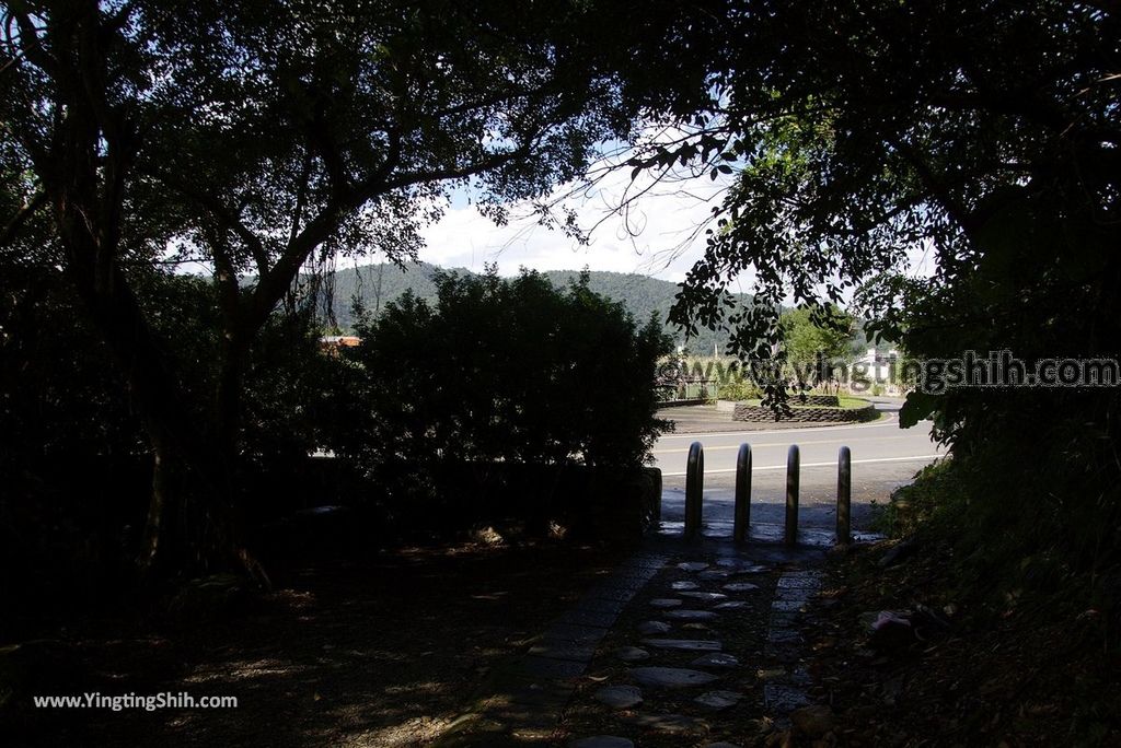 YTS_YTS_20181118_宜蘭冬山仁山植物園／仁山步道Yilan Dongshan Ren Shan Botanical Garden／Hiking Trail218_3A5A5893.jpg