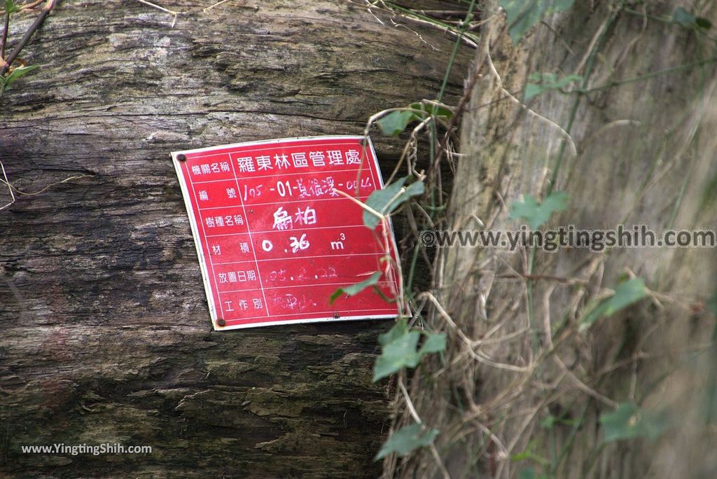 YTS_YTS_20181111_宜蘭羅東林業文化園區／森林鐵路／火車頭Yilan Luodong Forestry Culture Park011_3A5A1963.jpg