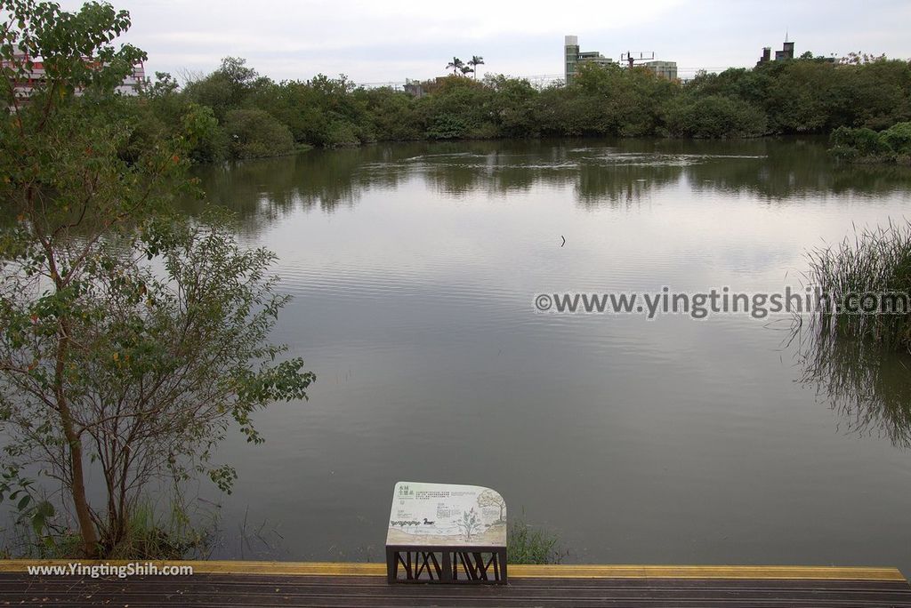 YTS_YTS_20181111_宜蘭羅東林業文化園區／森林鐵路／火車頭Yilan Luodong Forestry Culture Park036_3A5A2385.jpg