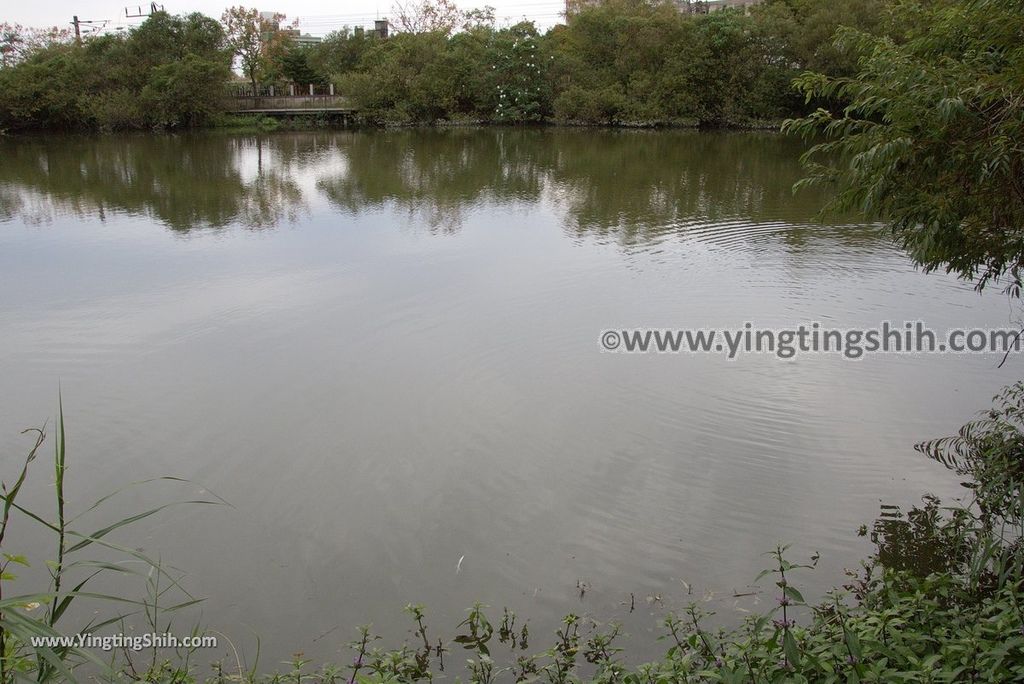 YTS_YTS_20181111_宜蘭羅東林業文化園區／森林鐵路／火車頭Yilan Luodong Forestry Culture Park050_3A5A2716.jpg