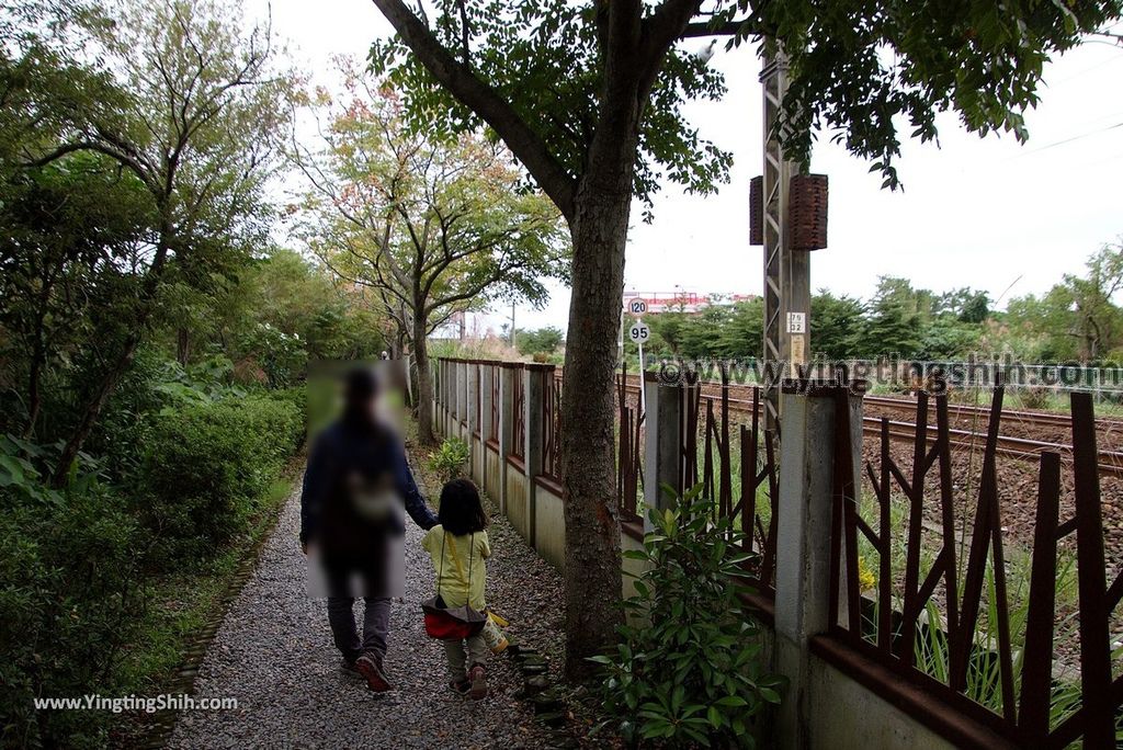 YTS_YTS_20181111_宜蘭羅東林業文化園區／森林鐵路／火車頭Yilan Luodong Forestry Culture Park059_3A5A2820.jpg