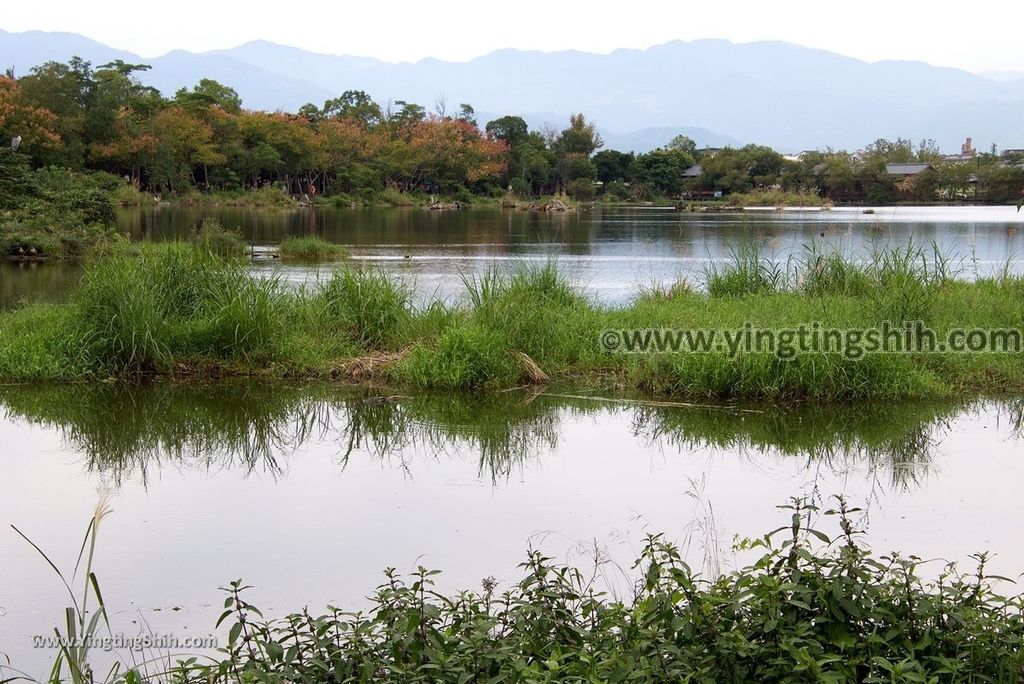 YTS_YTS_20181111_宜蘭羅東林業文化園區／森林鐵路／火車頭Yilan Luodong Forestry Culture Park073_3A5A2896.jpg