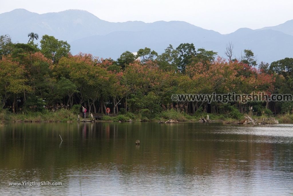 YTS_YTS_20181111_宜蘭羅東林業文化園區／森林鐵路／火車頭Yilan Luodong Forestry Culture Park074_3A5A3036.jpg