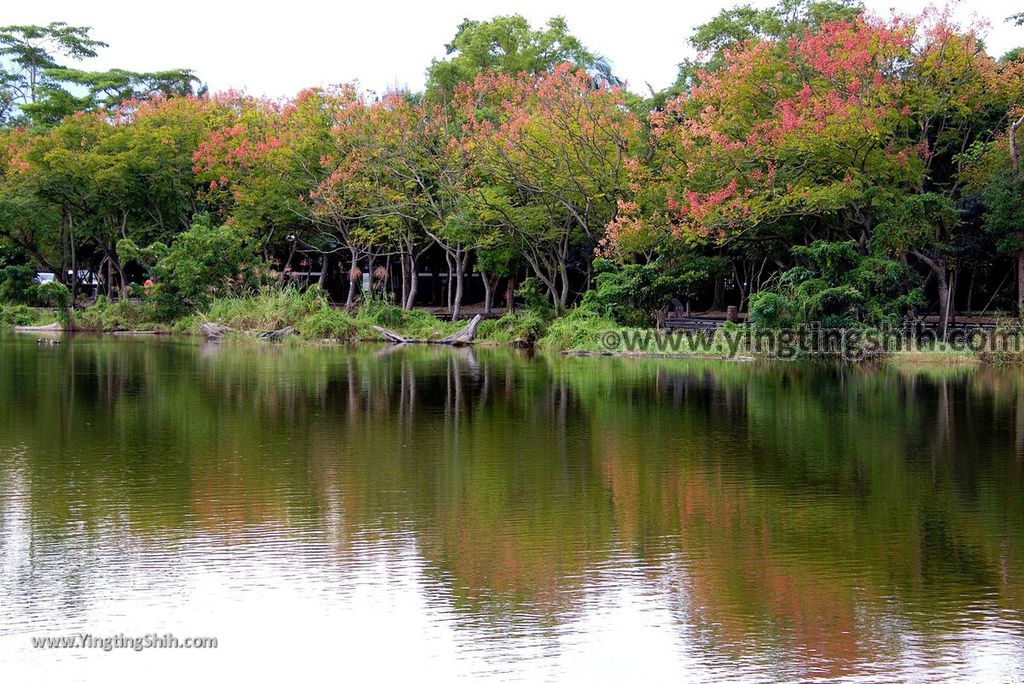 YTS_YTS_20181111_宜蘭羅東林業文化園區／森林鐵路／火車頭Yilan Luodong Forestry Culture Park101_3A5A3703.jpg