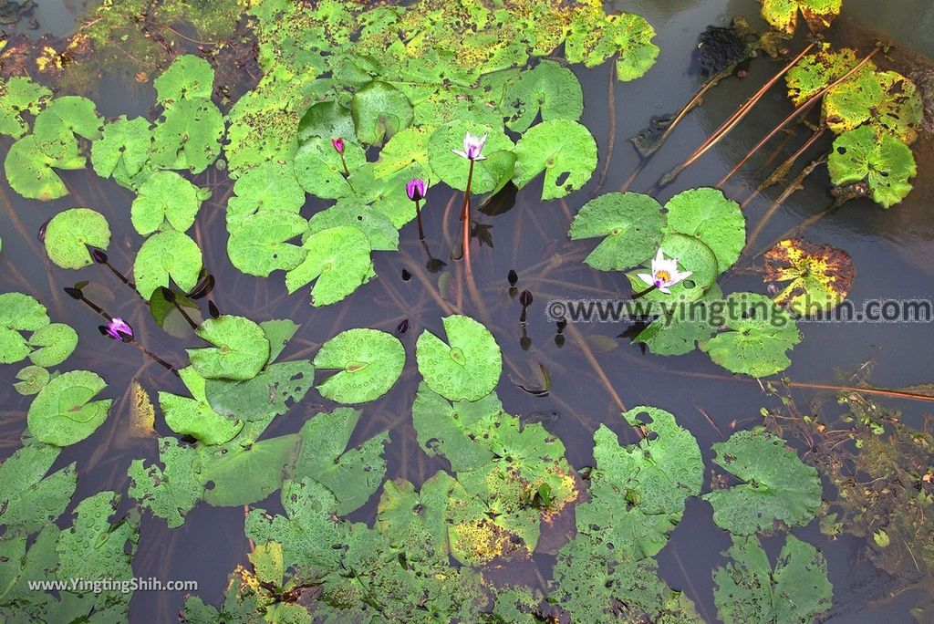 YTS_YTS_20181117_宜蘭蘇澳一米特創藝美食館／免費冷泉戲水池／觀光工廠Yilan Suao Onemit Tourism Factory050_3A5A1166.jpg