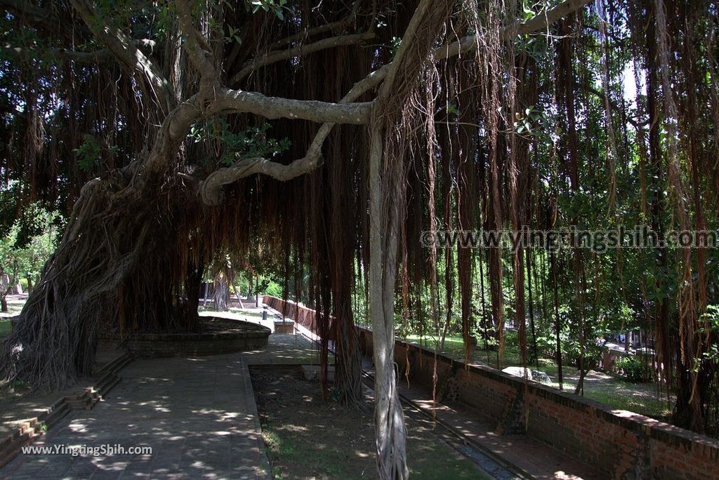 YTS_YTS_20180801_台南安平熱蘭遮城博物館／安平古堡Tainan Anping Fort Zeelandla Museum／Old Fort049_3A5A6407.jpg