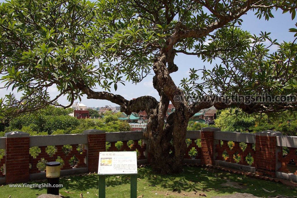 YTS_YTS_20180801_台南安平熱蘭遮城博物館／安平古堡Tainan Anping Fort Zeelandla Museum／Old Fort127_3A5A7777.jpg