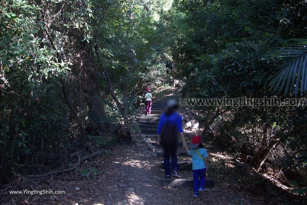 YTS_YTS_20181124_南投草屯九九峰生態藝術園區／森林步道Nantou Caotun Jiujiu Feng Eco-Art Park／Forest Trail049_3A5A6140.jpg