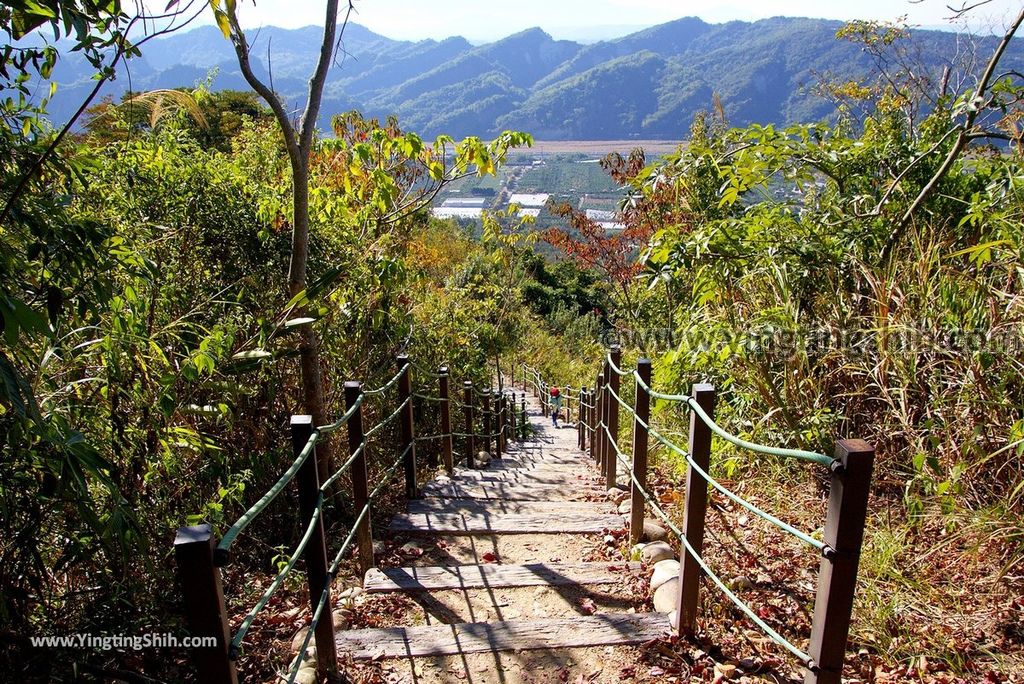 YTS_YTS_20181124_南投草屯九九峰生態藝術園區／森林步道Nantou Caotun Jiujiu Feng Eco-Art Park／Forest Trail090_3A5A7178.jpg