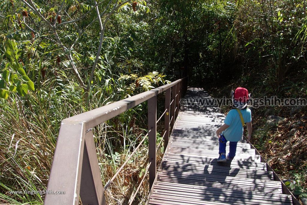 YTS_YTS_20181124_南投草屯九九峰生態藝術園區／森林步道Nantou Caotun Jiujiu Feng Eco-Art Park／Forest Trail119_3A5A7363.jpg