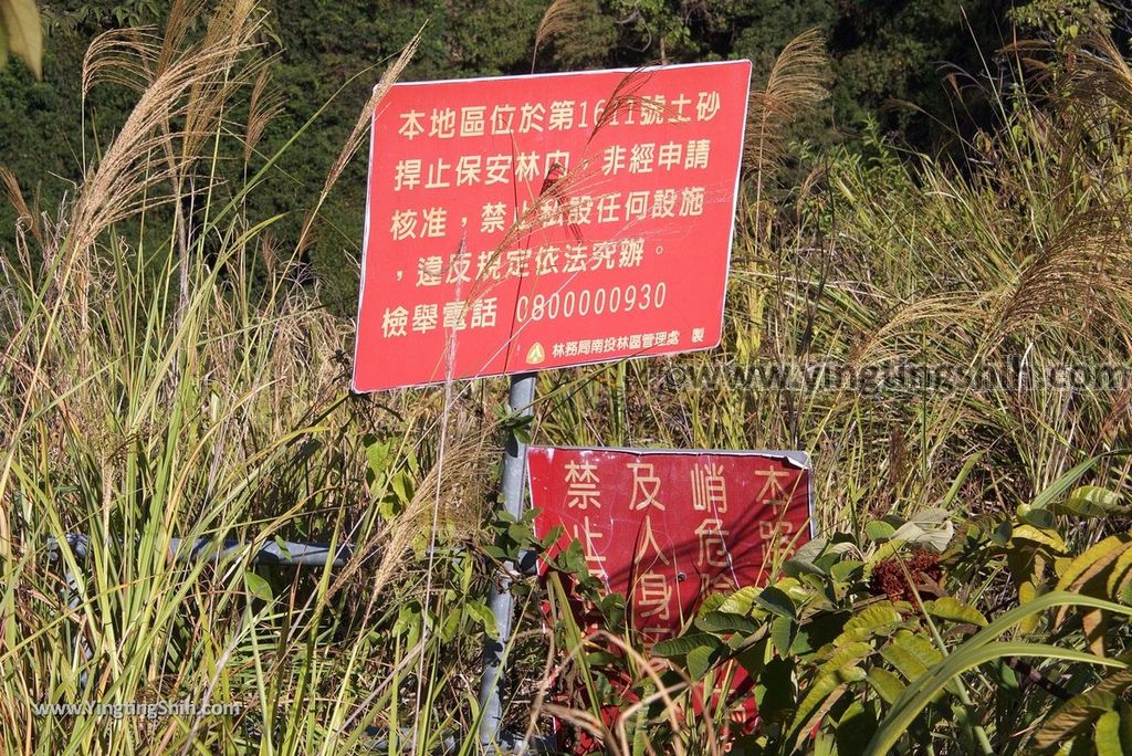 YTS_YTS_20181124_南投草屯九九峰生態藝術園區／森林步道Nantou Caotun Jiujiu Feng Eco-Art Park／Forest Trail117_3A5A7370.jpg