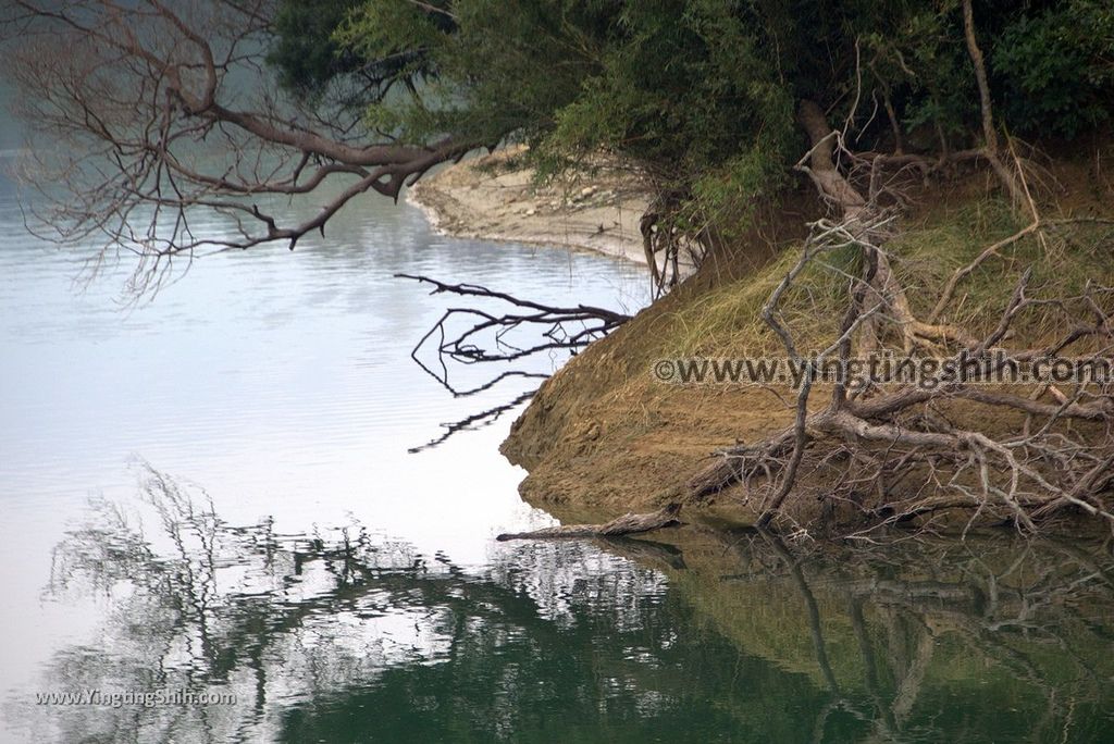 YTS_YTS_20181125_苗栗三灣永和山水庫／獅子亭觀景台Miaoli Sanwan Yongheshan Reservoir Lookout033_3A5A2388.jpg