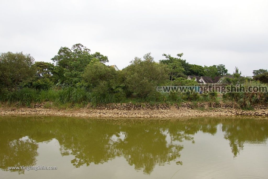 YTS_YTS_20180506_桃園龍潭泥橋仔埤塘Taoyuan Longtan Mud Bridge Pond006_3A5A6170.jpg