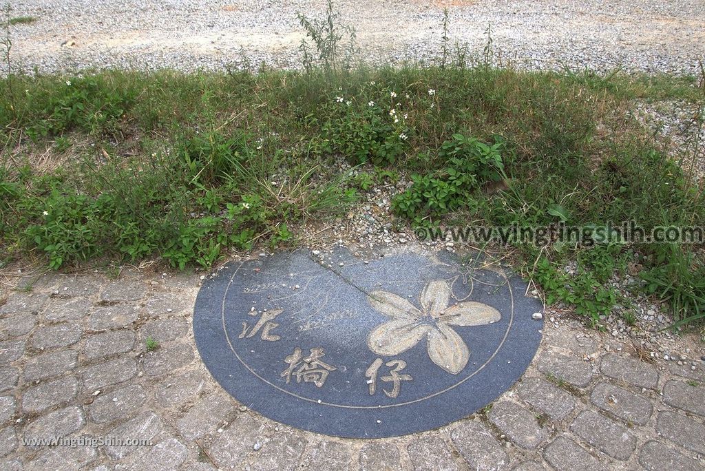 YTS_YTS_20180506_桃園龍潭泥橋仔埤塘Taoyuan Longtan Mud Bridge Pond012_3A5A6240.jpg