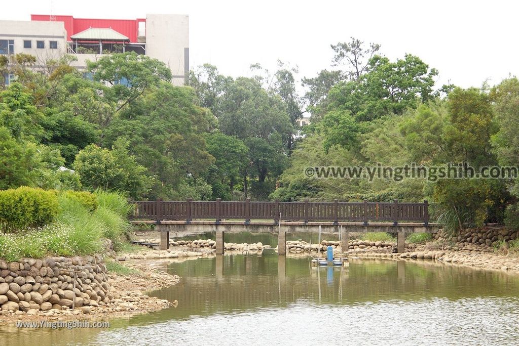 YTS_YTS_20180506_桃園龍潭泥橋仔埤塘Taoyuan Longtan Mud Bridge Pond016_3A5A6255.jpg