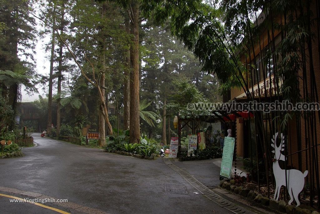 YTS_YTS_20181012_ 南投鹿谷溪頭自然教育園區Nantou Lugu Xitou Nature Education Area031_3A5A0089.jpg